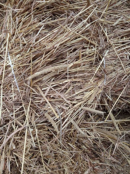 Продам сіно в тюках