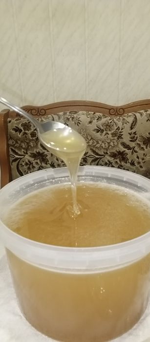 Ціна вказана за літр В наявності Мед буркун доннік акація липа лаванда