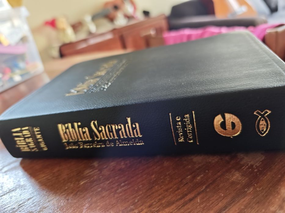 Bíblia sagrada - com dicionário e concordância