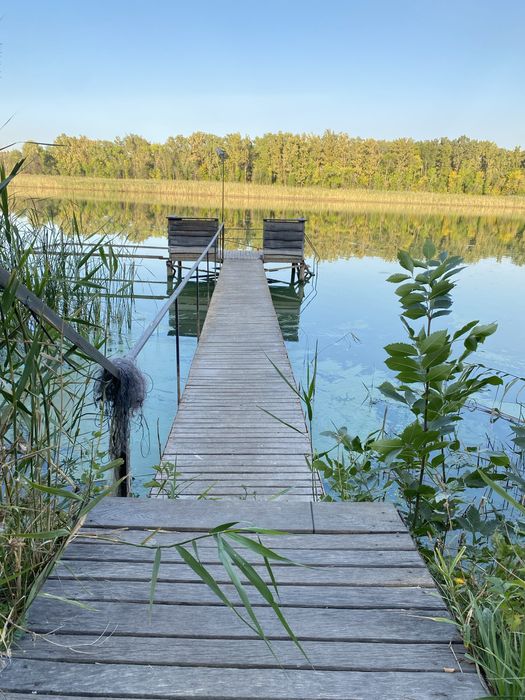 Продам турбазу Геолог, с.Кудашевка, 1,2 Га участок.