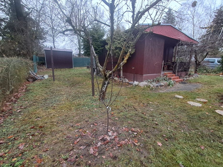 Działka R.O.D Lusowo nad jeziorem