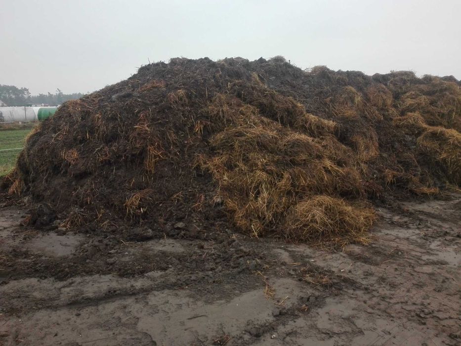 Obornik, nawóz naturalny, pełnowartościowy ZAMIANA