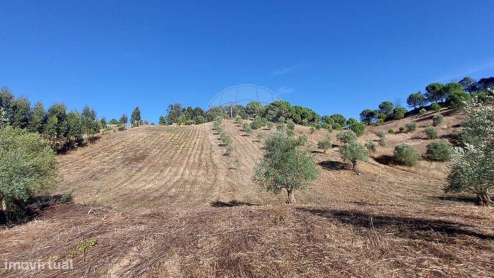Terreno  para venda