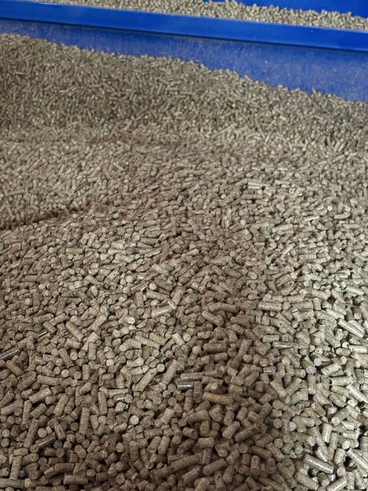 Pellet sosnowy 6mm