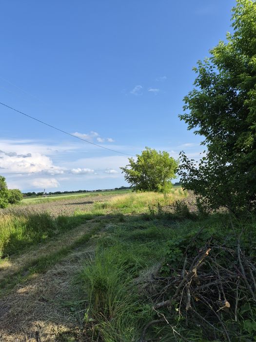 Продам будинок в тихому селі