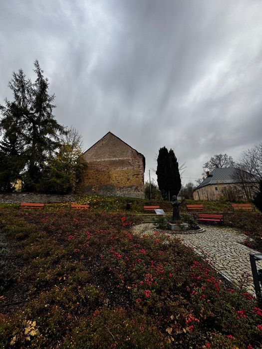 Dzialka z budynkiem w Lewinie Klodzkim ul. Okrzei - Widok 6