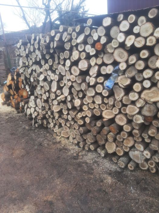 Дрова акація черешня