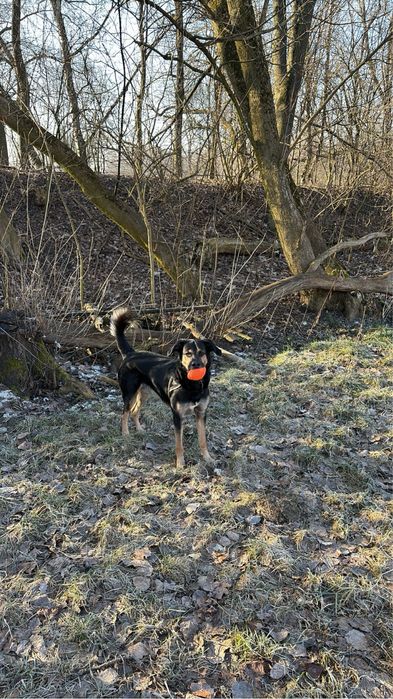 Oddam w dobre ręcę !PILNE!