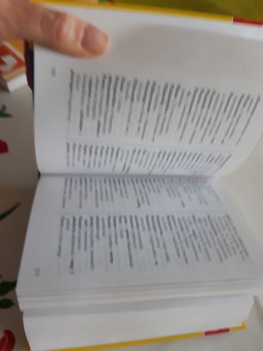 Słownik niemiecko-polski i polsko-niemiecki Buchmann