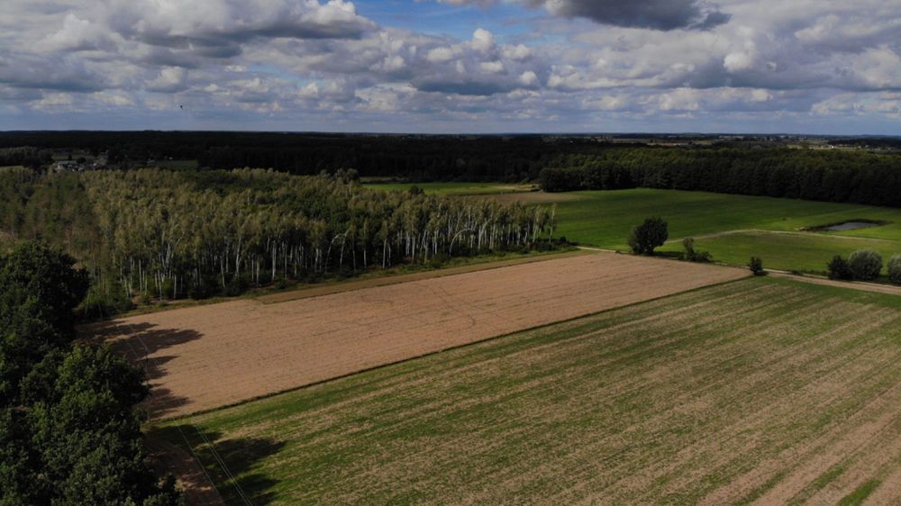 Miedzy Lasem a Wsią to 6 działek pod lasem 90 km od Warszawy trasa s7.
