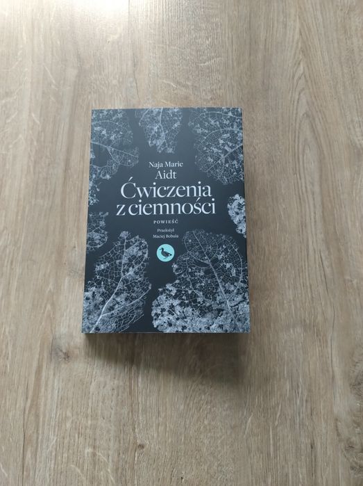 Ćwiczenia z ciemności Naja Marie Aidt
