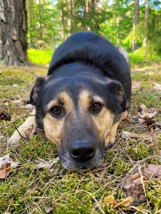 Lemo - Niewidzialny od lat