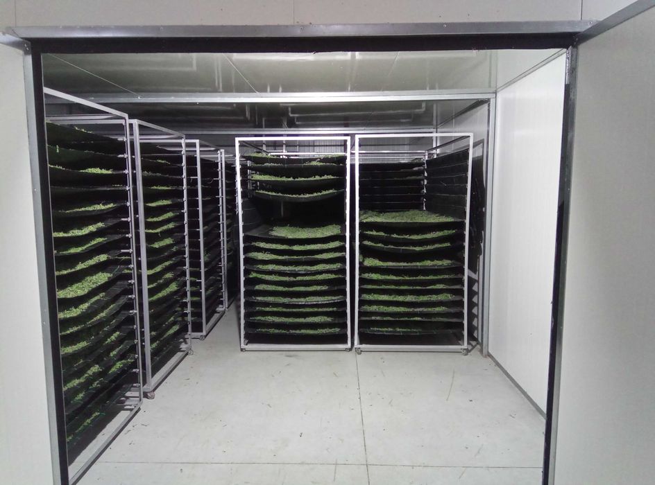 sistema de secagem / desidratador industrial / aquecimento