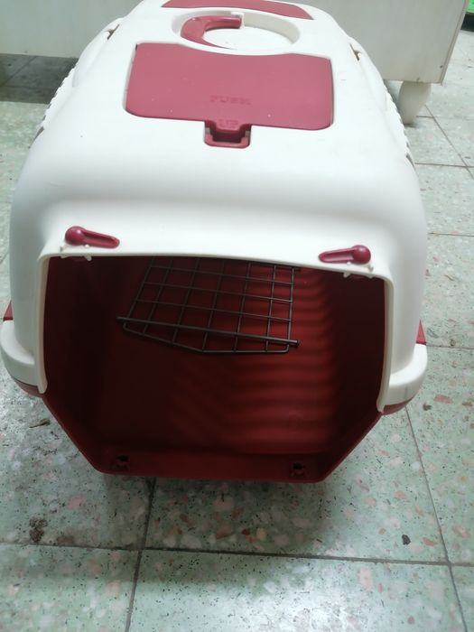 Transporte para cães