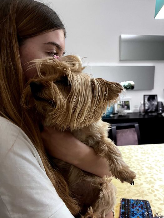 Petsitting e Dogwalking460687619549440002