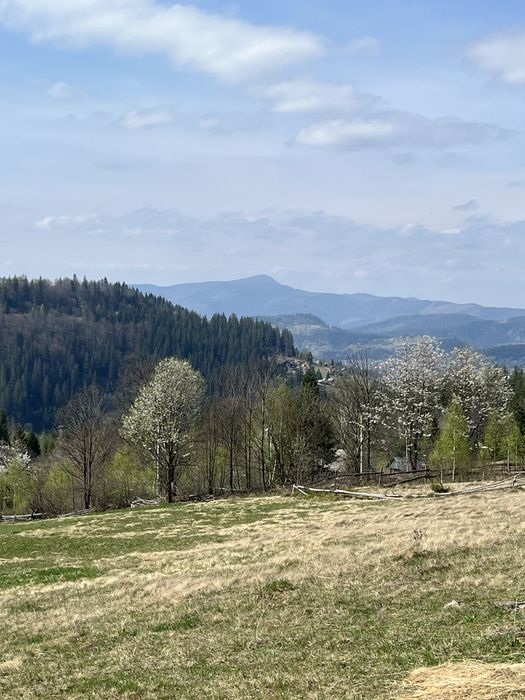 Земля Карпати Микуличин ( Власник) торг під будівництво 10 соток