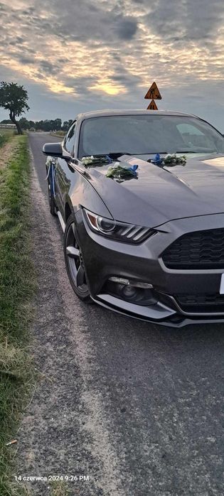 Mustang! Auto na ślub wesele, 18stka, panieńskie i inne! !Na wynajem!