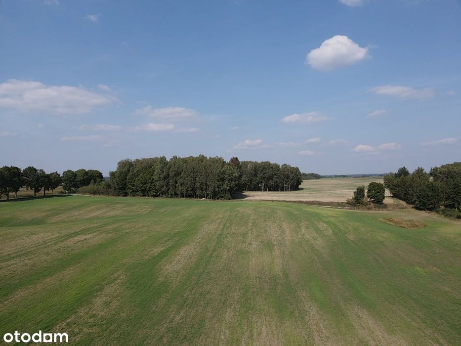 Działka z dostępem do Kanału Elbląskiego - Karnity - Widok 6