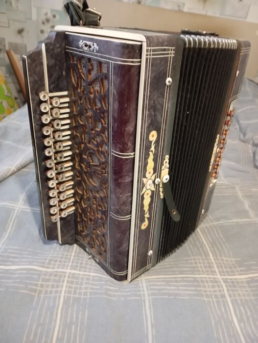 Продам гармонь, Гармошка