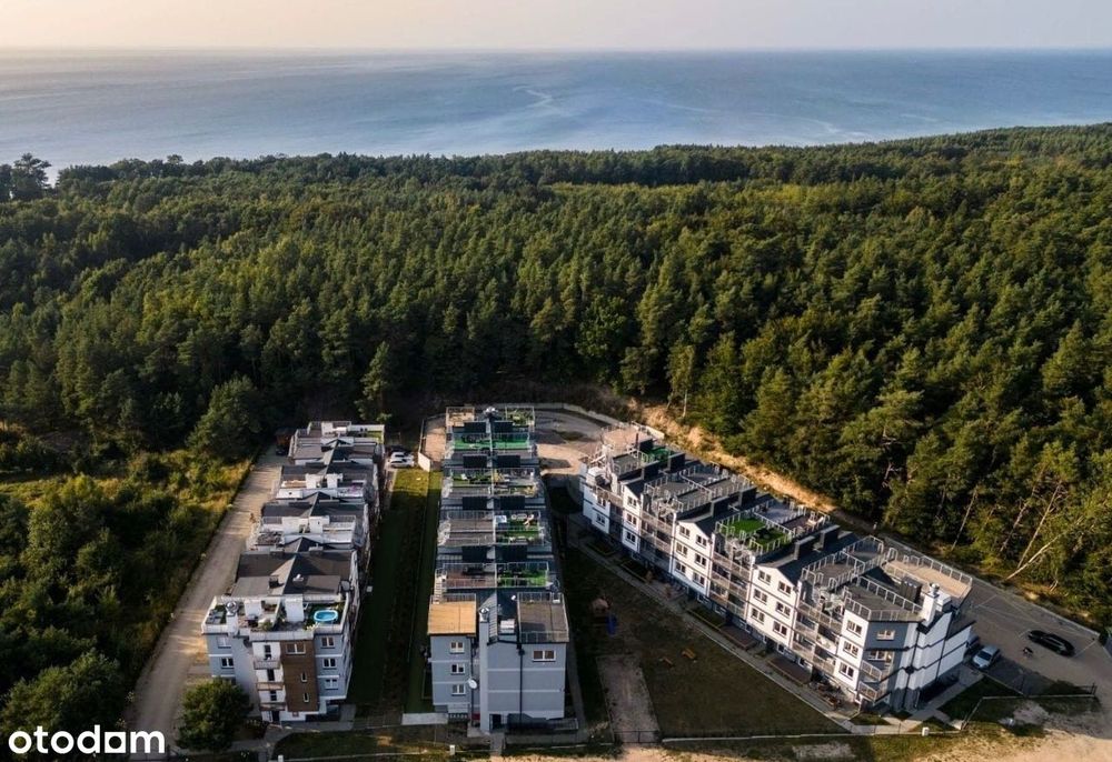 Apartament 350 m do morza przy lesie | 2 poziomy | taras na dachu