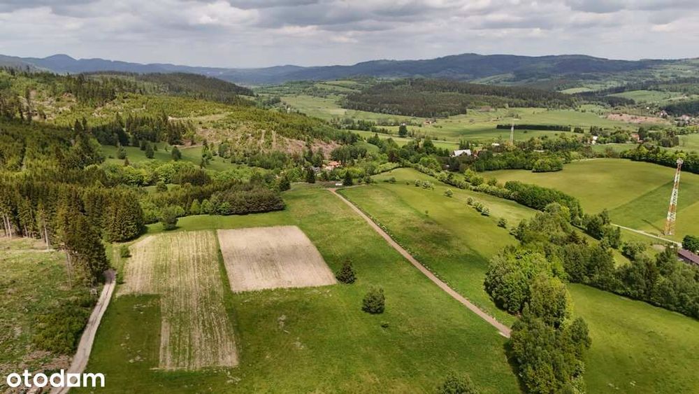 3 Działki W Bartnicy | 3009 M² Z Gotowymi Warunkami Zabudowy