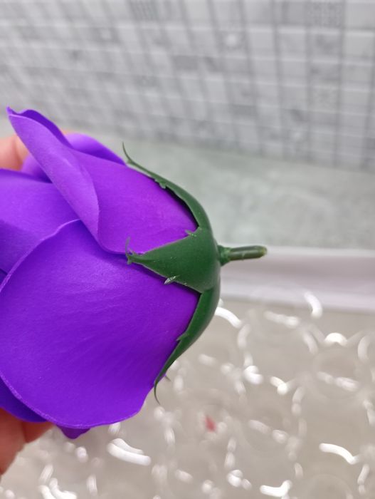 Róża mydlana fioletowa