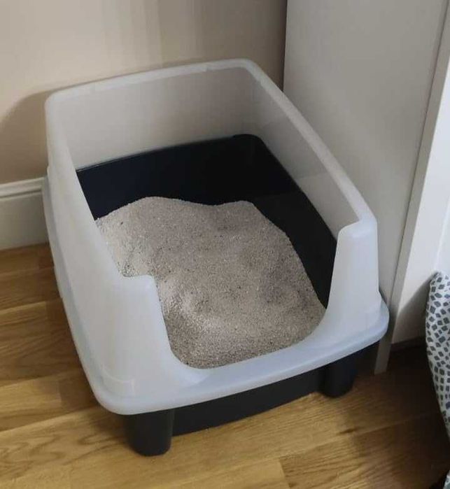 Duża pojemna kuweta otwarta dla kota zwierzęta dom kot