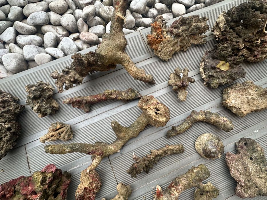 Rocha viva de aquário Reef (água salgada) 71kg