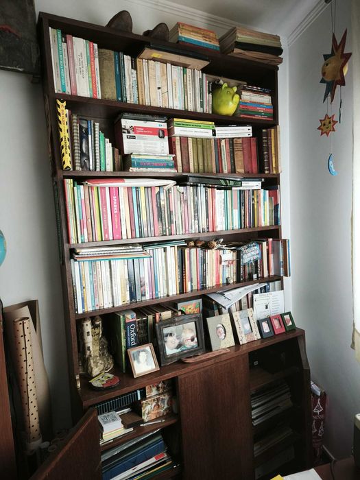 Estante em sucupira brasileira