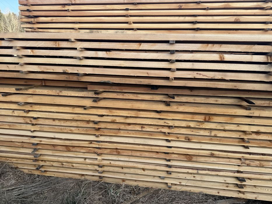 Kamtówka modrzewiowa 5,4x10.6