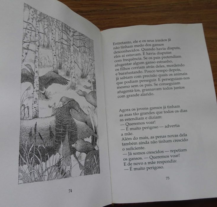 A História do Pequeno Ganso Que Era Vagaroso