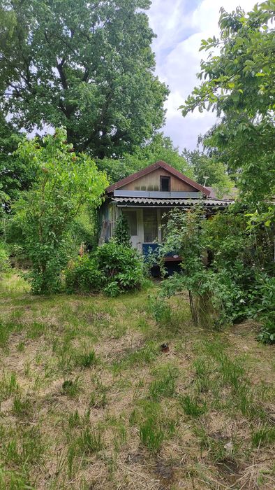 Działka ROD Witaminka - Widok 4