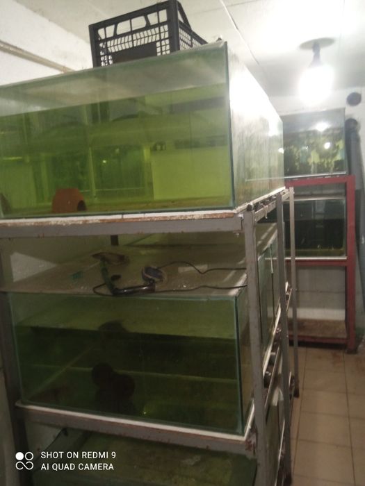 Аквариумы 240 литров , бу..