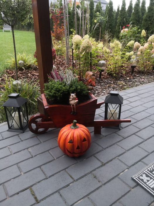 Taczka drewniana donica