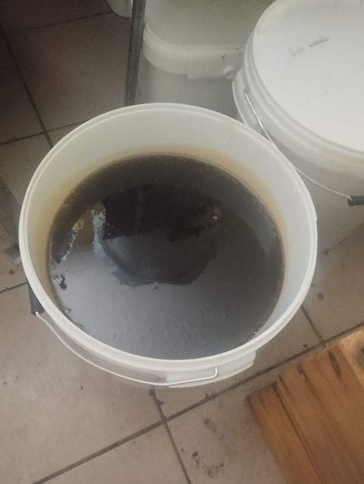 Sprzedam miód w wiadrach