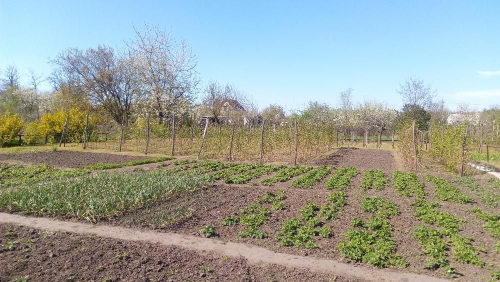 Продам Дачу Каневское 20 соток