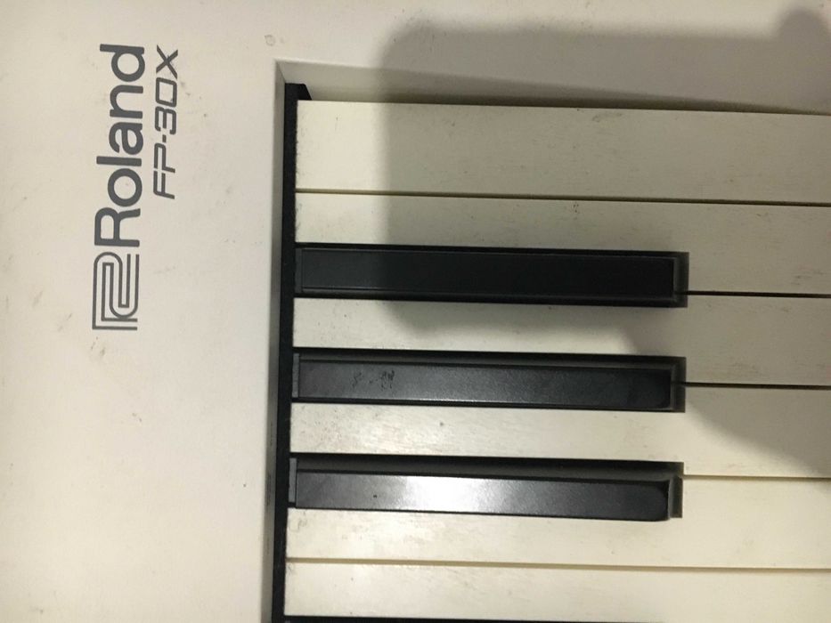 ROLAND FP-30x e Tripé Audibax