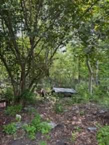 Rozbiórki/Wycinka/Karczowanie/Pracę Porządkowe/Koszenie itp