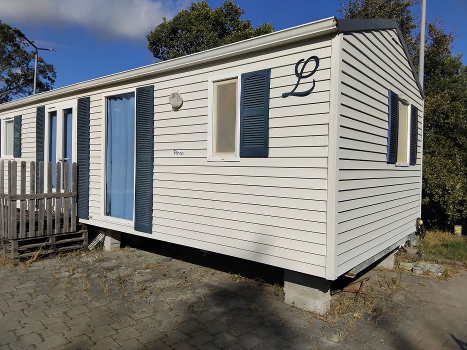 Mobilouse t3 lusiane Flores