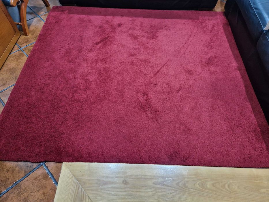 Carpete de sala de pelo curto