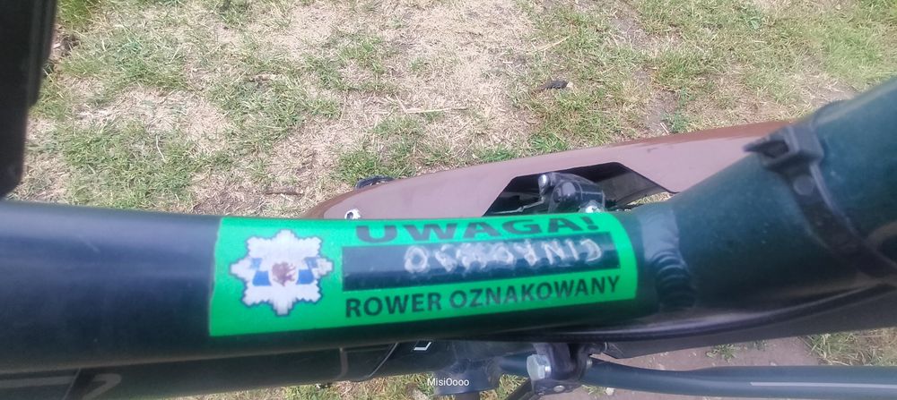 Rower elektryczny