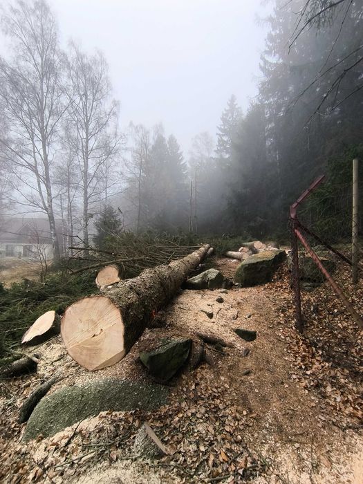 Wycinka drzew, czyszczenie działek, usługi ogrodnicze