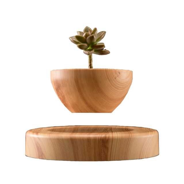 Vaso Flor FLUTUANTE Decorativo - ÚLTIMAS UNIDADES
