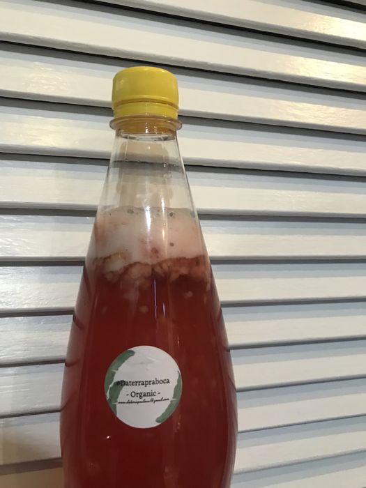 Kombucha artesanal Daterrapraboca ou scoby