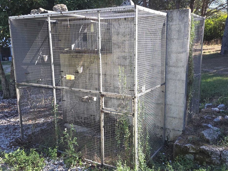 Gaiola rede galvanizada paineis