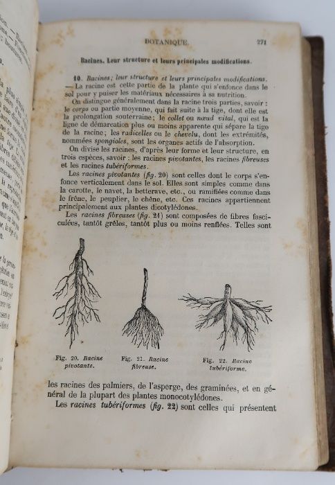 Histoire naturelle by LANGLEBERT (J) - 1880