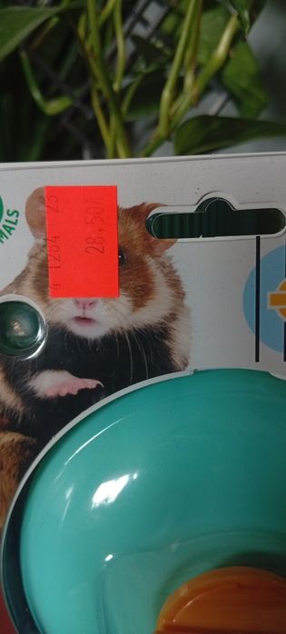 Kołowrotek kółko dla chomika
