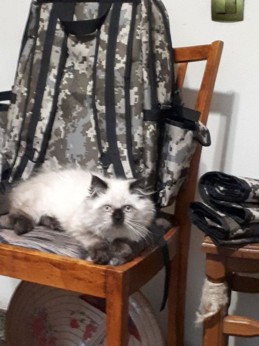 Рюкзаки для мужчин