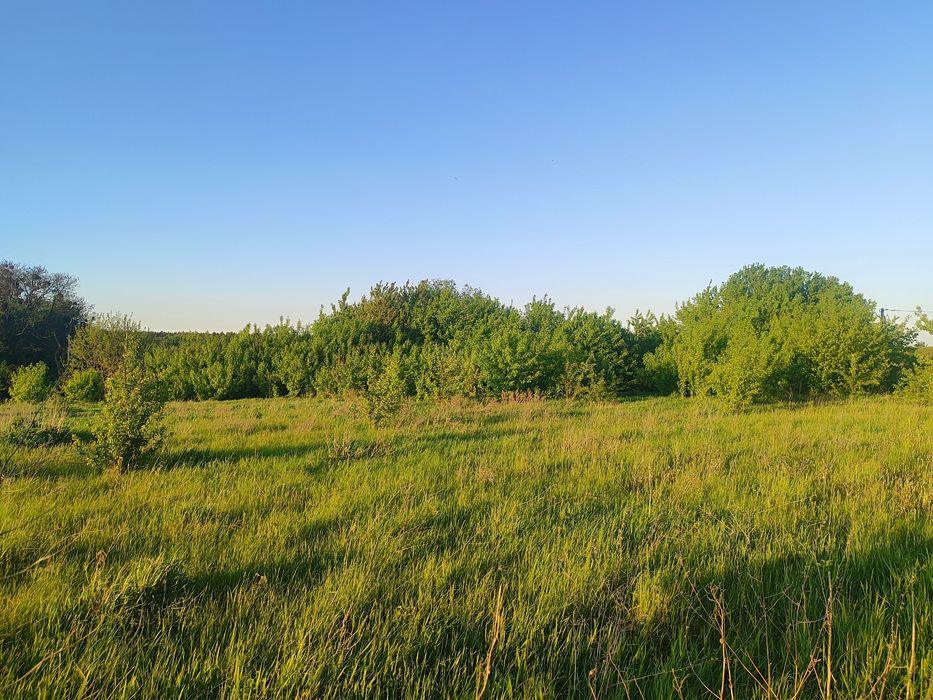Продам земельну ділянку в селі Шкарівка