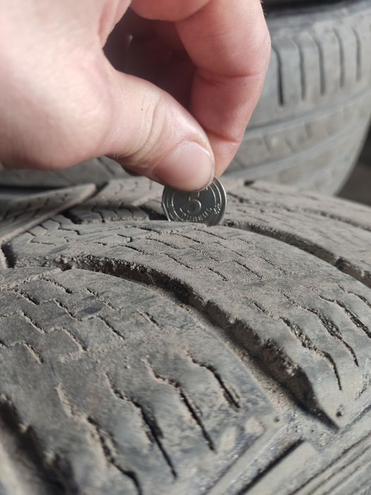 Резина на trafic зима і літо